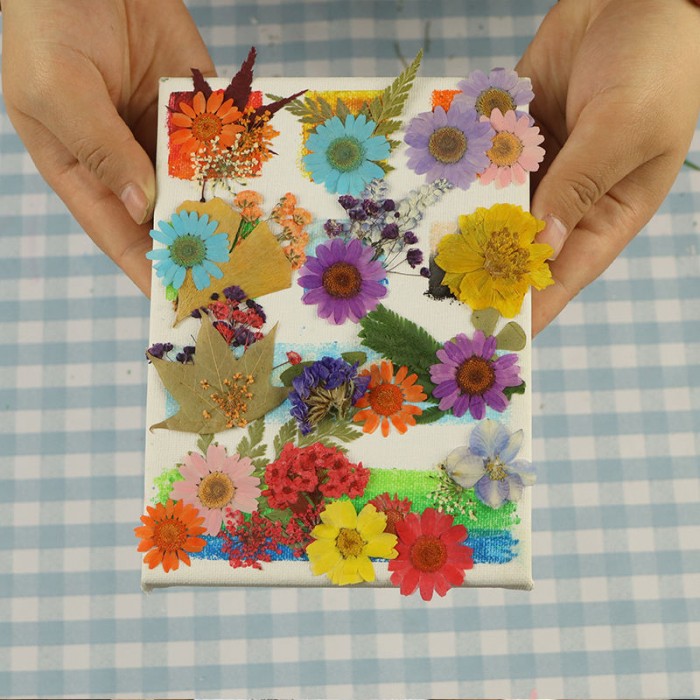DIY Flower Press Kit with Natural Dried Flowers