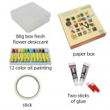DIY Pressed Dried Flowers Kit for Collection & Painting