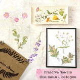 Wooden Flower Press Kit - Educational DIY Supplies for Kids