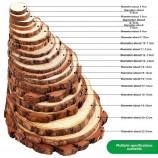 Children's DIY Drawing Board Creative Wood Slice Blank for Painting Kindergarten Art Materials & Doodle Coloring